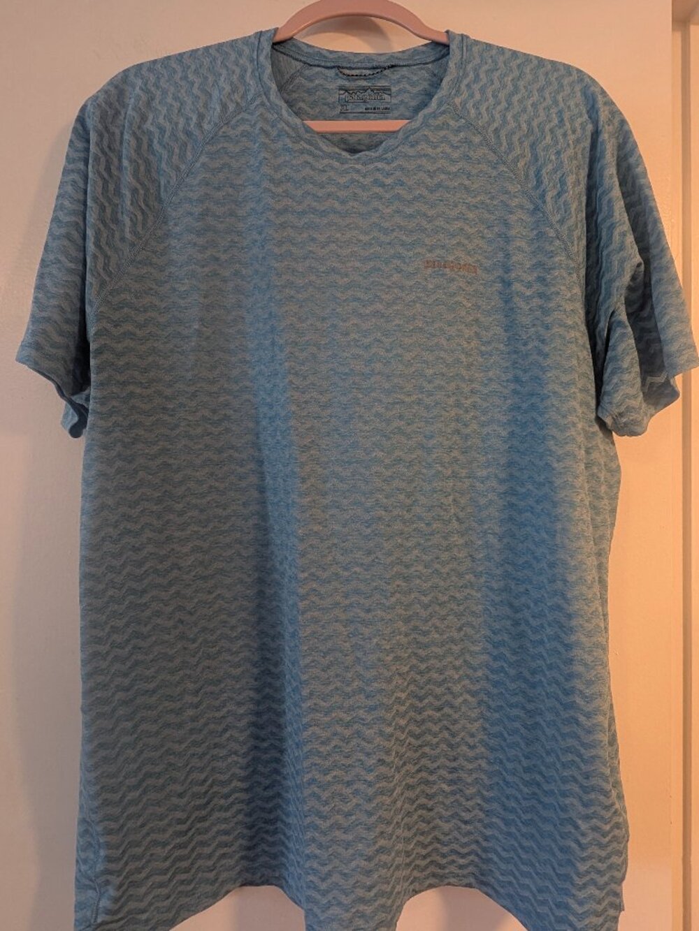 Patagonia Mens Ridge Flow shirt